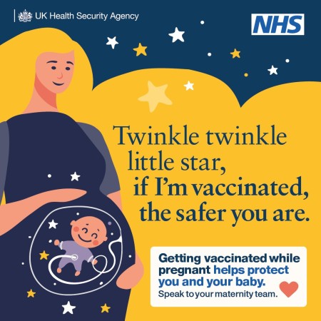 2024.11_Maternal_Vaccines_Illustration_1x1_Star1.jpg